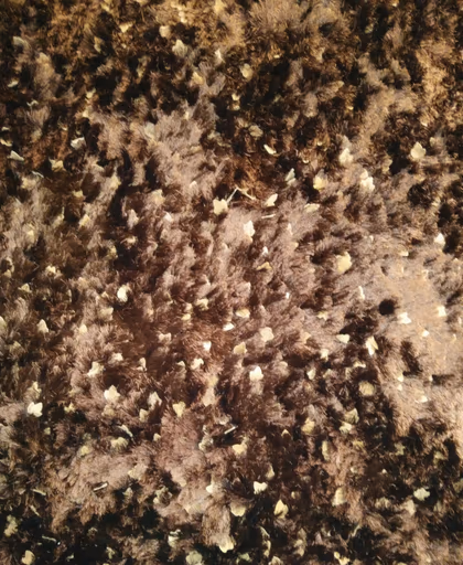 Handwebteppich Shiny